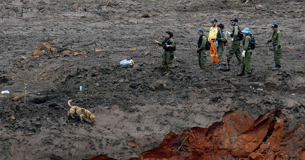 Cindy e Bruce fazem história e auxiliam resgate de mais um corpo em Brumadinho Cindy e Bruce fazem história e auxiliam resgate de mais um corpo em Brumadinho