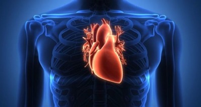 Alimentação saudável reduz em 80% riscos de doenças cardíacas