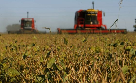 Paraguai ultrapassa Argentina e ocupa 3ª posição na exportação de soja Foto: Divulgação