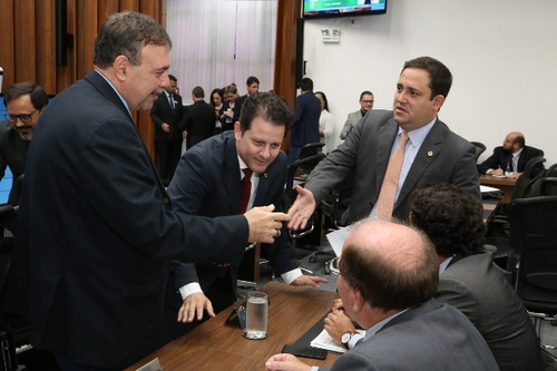 As comissões são responsáveis por discutir e votar projetos, realizar audiências públicas e encaminhar pedidos de informações
Foto: Victor Chileno 