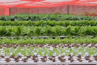 Sistema Famasul visita Projeto Fazendinha em Dourados