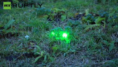 Nova tecnologia para espantar pássaros Foto reprodução