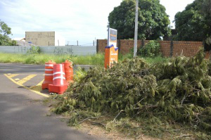 Casas afetadas por temporal de quinta-feira ainda apresentam danos Folhagens apenas foram acumuladas próximo a calçada para desobstruir a rua. (Foto:Marcelo Calazans)