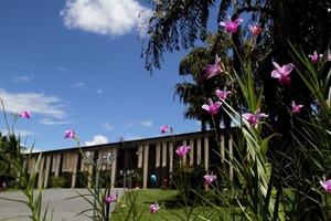 Agenda: Atuação dos corretores e combate à exploração sexual em destaque na ALMS Programação começa segunda-feira, às 8h30, com Santa Missa Pelas Mães, no Palácio Guaicurus
Foto: Wagner Guimarães