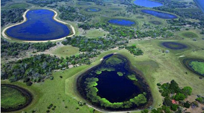 Parque Estadual Pantanal do rio Negro. Guilherme Rondon
