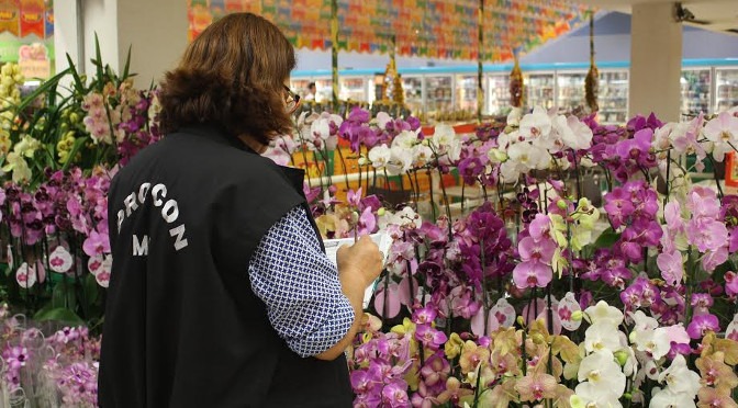 Preço dos presentes para as mães varia 117% na Capital, diz Procon Procon/Divulgação