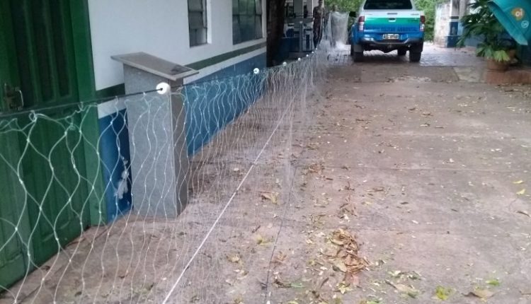 Pescadores são surpreendidos por fiscalização da PMA PMA/Divulgação