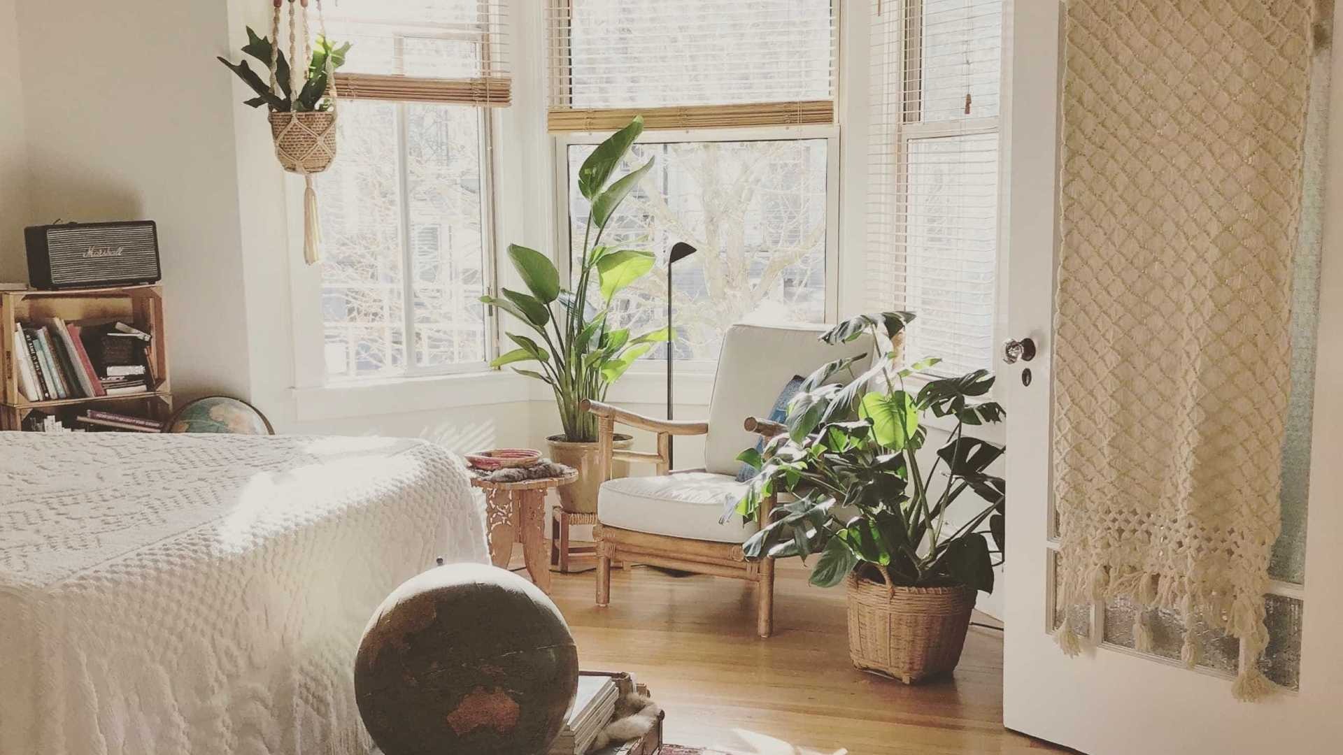 5 dicas para manter a casa limpa e a saúde em dia no outono 5 dicas para manter a casa limpa e a saúde em dia no outono