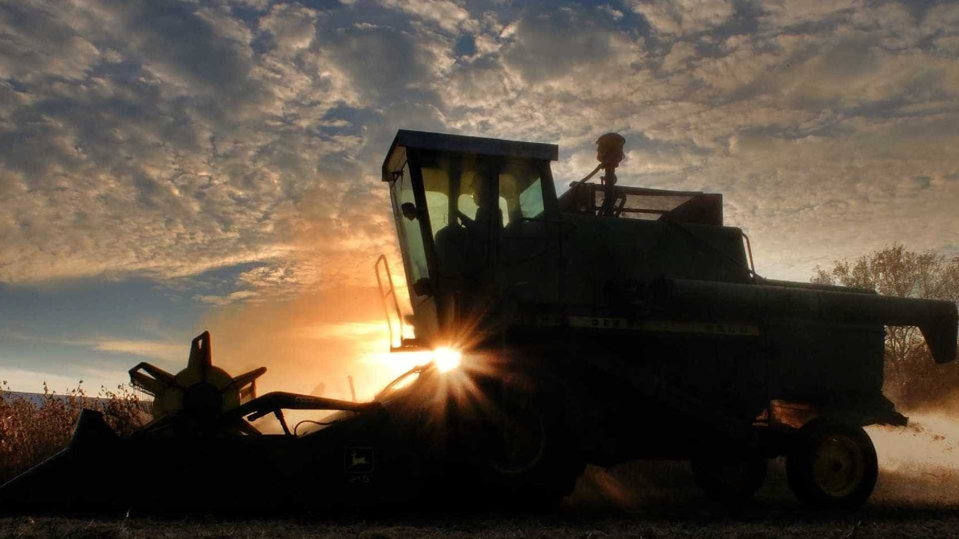 Com safra recorde, Brasil se aproxima da liderança na soja Pixabay