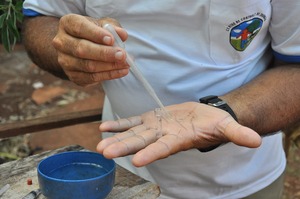 Secretaria Municipal de Saúde alerta população sobre aumento de casos de febre chikungunya
