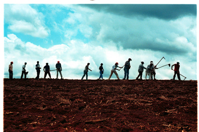 TCU suspende reforma agrária por indícios de irregularidades Foto:Divulgação/Blogeo