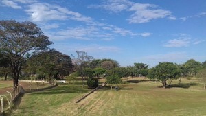 Equipes da Semsur realizam uma grande limpeza no parque com roçada e poda, recuperação de estruturas e outros serviços – Divulgação


