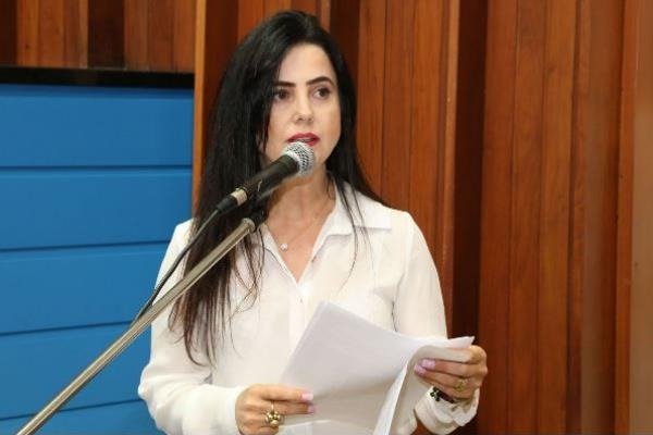 A audiência pública será comandada pela deputada Mara Caseiro (PSDB)