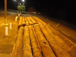 Empresas são multadas em R$ 46,7 mil por transporte de madeira nobre Madeira não pode ser derrubada sem autorização (Foto: Divulgação/PMA)