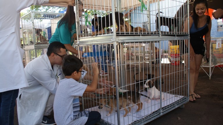 80 animais vão para adoção e famílias são orientadas quanto abandono