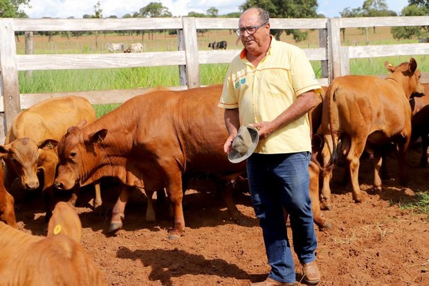 Com Assistência Técnica e Gerencial produtor de MS reforma pasto e triplica produção Com Assistência Técnica e Gerencial produtor de MS reforma pasto e triplica produção