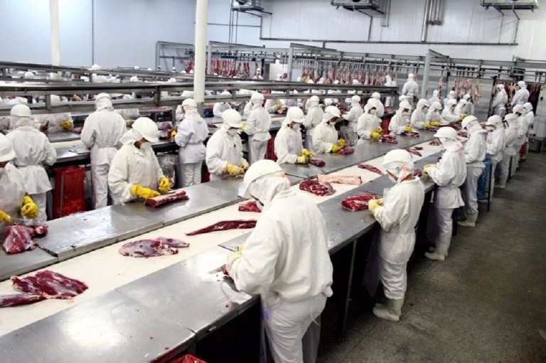 Exportações de carne bovina sobem 31% em julho Foto: Arquivo/EBC