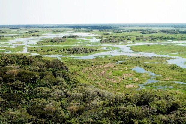 Exemplo de preservação: Mato Grosso do Sul mantém 83% da vegetação do Pantanal Exemplo de preservação: Mato Grosso do Sul mantém 83% da vegetação do Pantanal