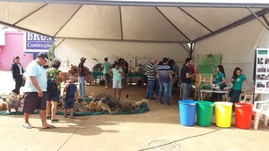 Imam convida população para ação no Dia Mundial do Meio Ambiente Exposição na Praça Antônio João busca a conscientização da população acerca das ações ambientais