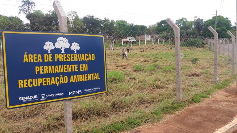 Tecnologia e modernização das legislações avançar na preservação ambiental na capital