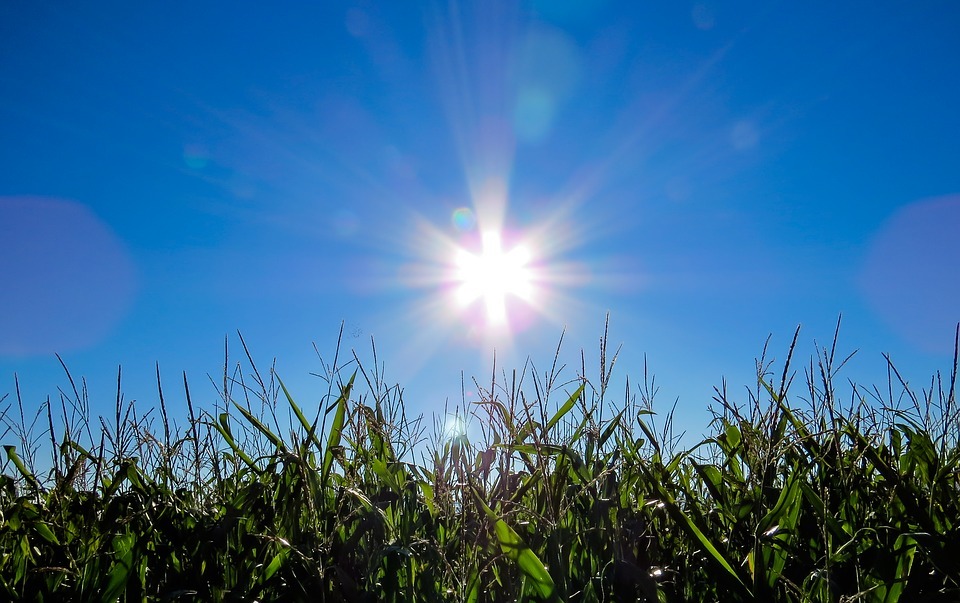 Terça-feira será de sol com umidade do ar baixa Terça-feira será de sol com umidade do ar baixa