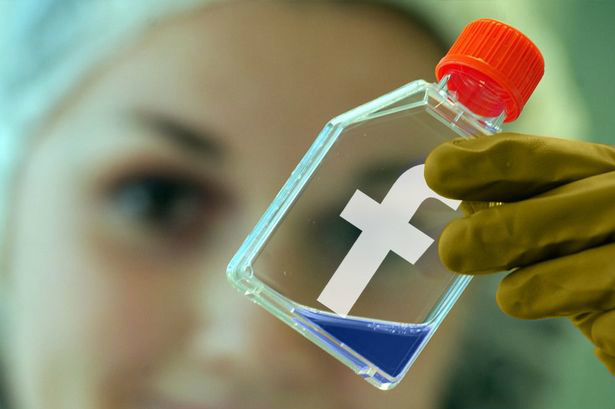 Pesquisa revela que colocar imagem ao lado do parceiro no perfil do Facebook é sinal de insegurança na relação