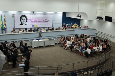 Em sessão solene, mulheres cobram maior participação na política do País