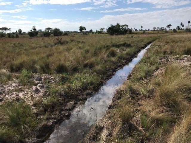 Pecuarista é autuado por realizar dreno para secar lagoa PMA/Divulgação