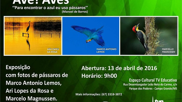Espaço Cultural da RTVE abre exposição de fotografias de pássaros Foto:Divulgação