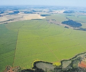 Área total do MS é de 37,5 milhões de hectares e 30,8 milhões foram cadastradas 