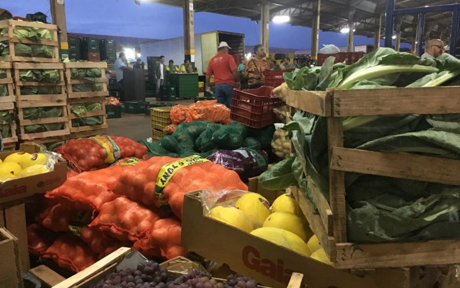 Abastecimento na Ceasa é restabelecido, mas preços continuam elevados Oferta de produtos foi normalizada nesta sexta-feira (1º) na Ceasa de Campo Grande (MS) (Foto: Alexandre Cabral)
