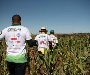 MS receberá equipe que monitora safras de grãos em todo país Levantamento auxilia na análise das principais lavouras de grãos brasileiras - Foto: Alécio Cezar/Agroconsult