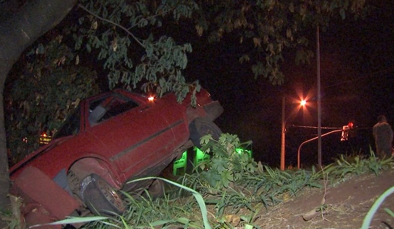 Carro não caiu em rio porque bateu em árvore (Foto: Reprodução)