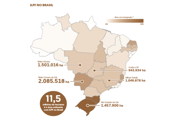 MS é líder no país em integração lavoura, pecuária e floresta MS é líder no país em integração lavoura, pecuária e floresta