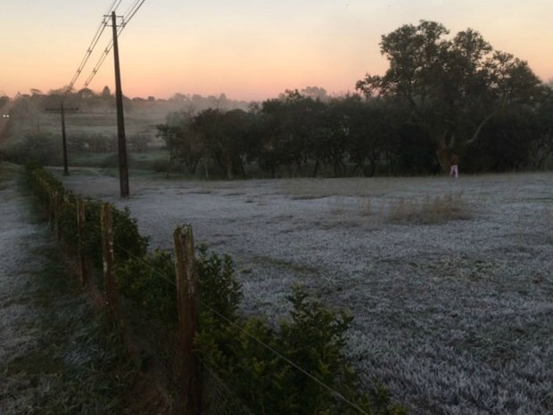 Nova frente fria deve causar geadas em cidades de MS Foto: Divulgação