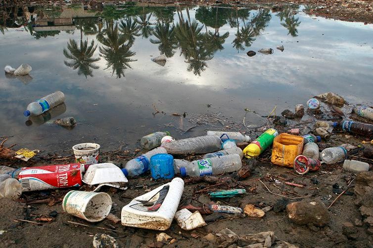 Poluição do plástico é desafio para o Dia Mundial do Meio Ambiente