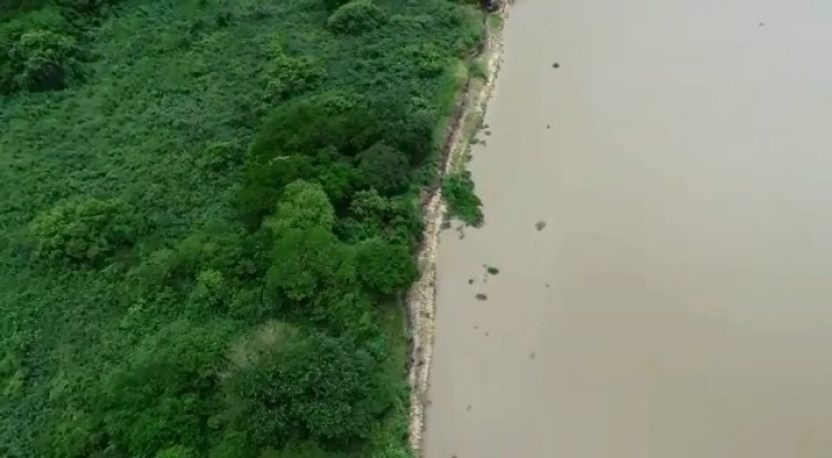 Imagem feita por drone. Divulgação/Bombeiros