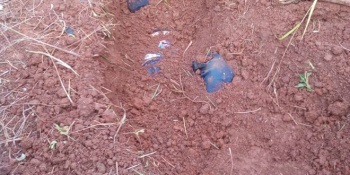 Corpo de homem é encontrado enterrado com sinais de execução por arma de fogo Foto: Porã News