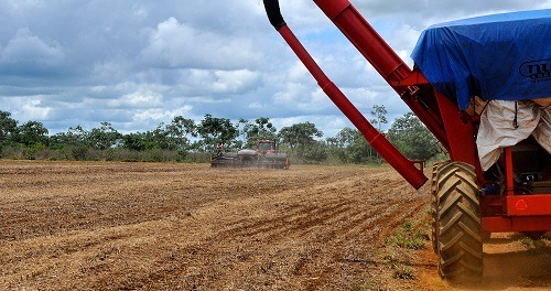 Plantio da cultura segue acelerado - Foto: Vadenir Rezende / Correio do Estado