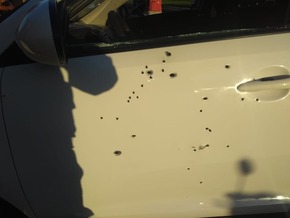 'Tudo que sou devo a ele', diz coronel da PM que foi criado por chefe da segurança executado Carro da vítima foi metralhado por suspeitos em Campo Grande (Foto: Polícia Militar/Divulgação)