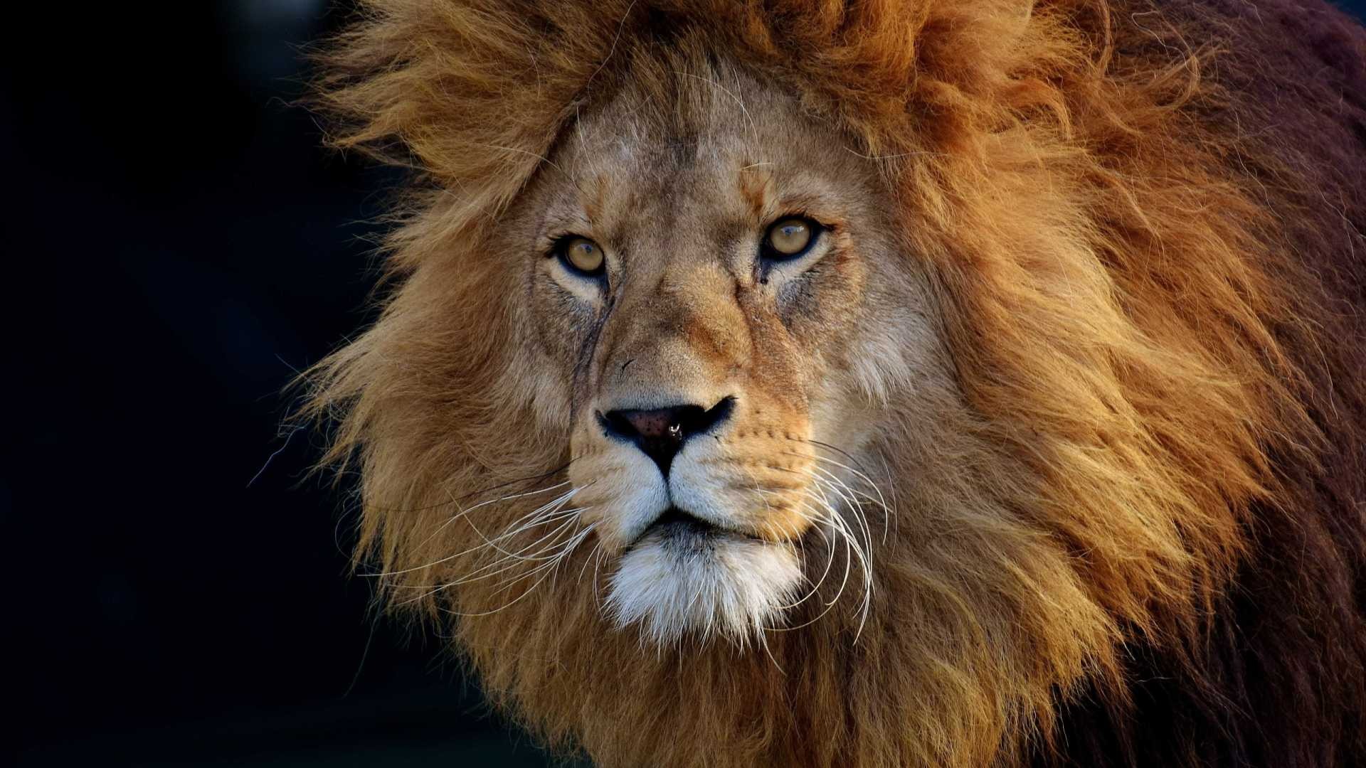 Pagamento do primeiro lote do IR: saiba se ficou na malha fina Pixabay