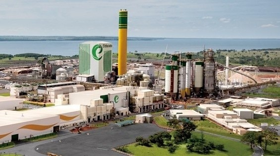 Empresa de produção de celulose abre vagas para estágio em MS Empresa de produção de celulose abre vagas para estágio em MS