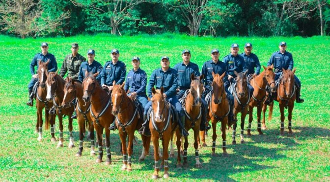Cavalaria da PM abre inscrições para Curso de Policiamento Montado PM/Divulgação