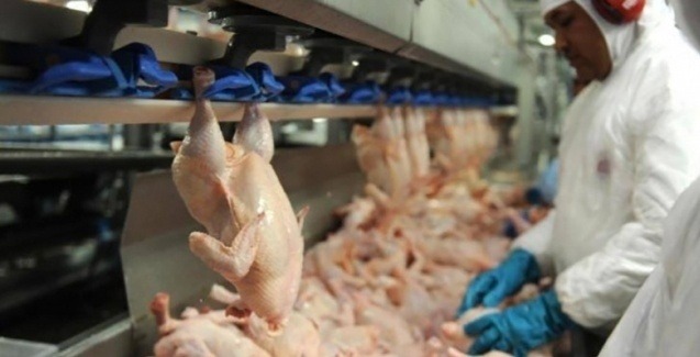 Volume da carne de frango exportada em janeiro superou as 317 mil toneladas