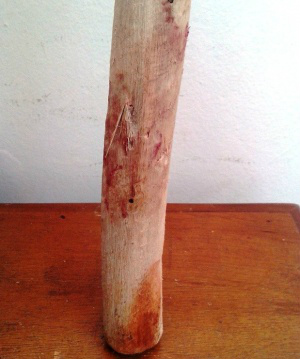 Jovem agride mulher, é rendido e acaba morto com paulada na cabeça Homem foi morto com apenas um golpe. (Foto: Ivinoticias) -