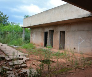 Paulo Ribas/ Correio do Estado 