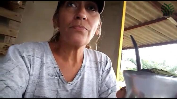 Produtora de Jaraguari consegue aumentar em 250% sua produção de leite Divulgação