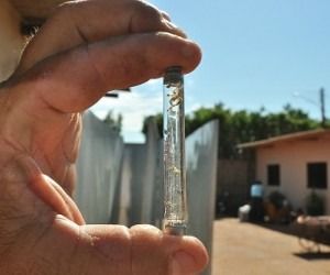 Entre 2013 e 2017 houve diminuição de 92% nas notificações registradas - Correio do Estado/Arquivo