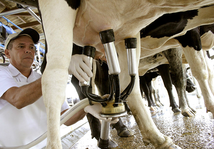 Foto:Divulgação/Arquivo)