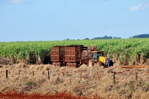 Projeto quer liberar venda direta de etanol das usinas aos postos Matéria-prima do biocombustível mais usado no mercado - Foto: Valdenir Rezende / Correio do Estado
